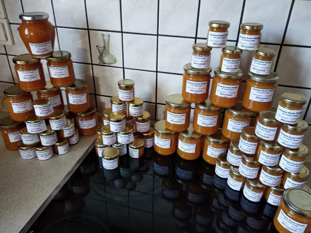 Olympias Studio "Pitsidia" Zewnętrze zdjęcie